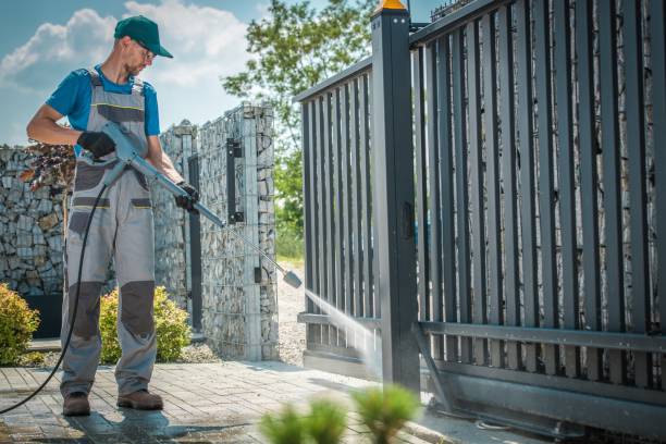 Best Paint Preparation  in Scanlon, MN