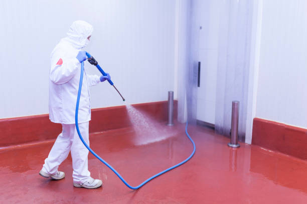 Pre-Holiday Cleaning in Scanlon, MN