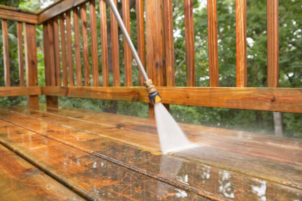 Best Solar Panel Cleaning  in Scanlon, MN
