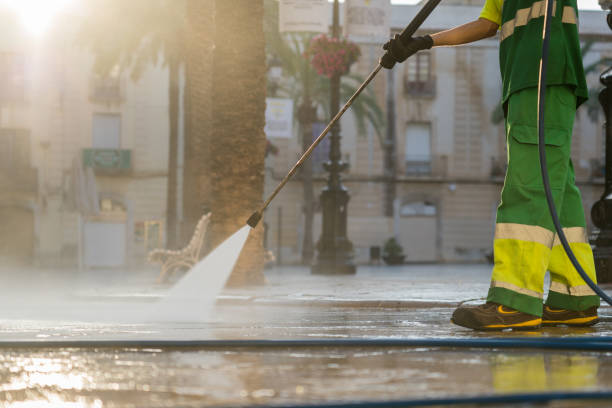 Best Sidewalk and Walkway Cleaning  in Scanlon, MN